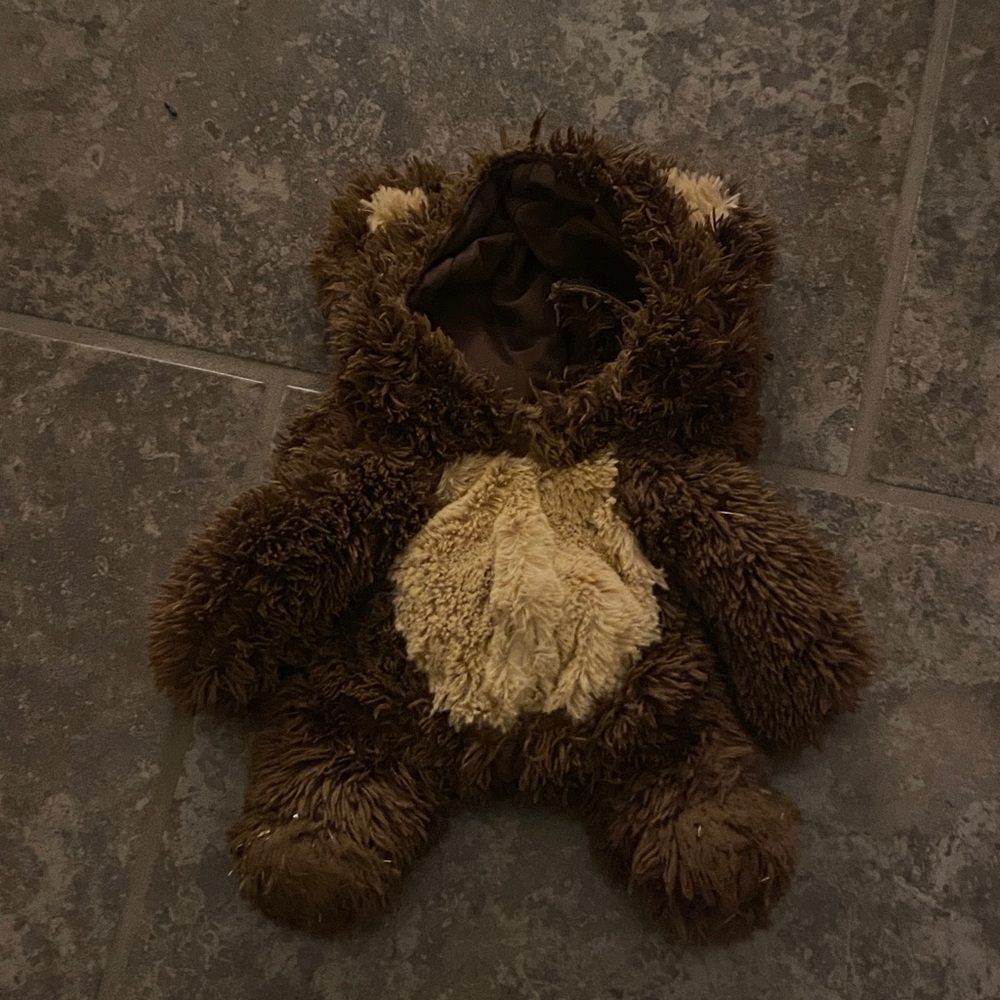 Adorable Brown Bear Costume for Dog